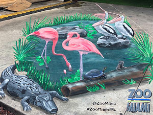 Everglades pond with pelicans and flamingos 3D pavement art