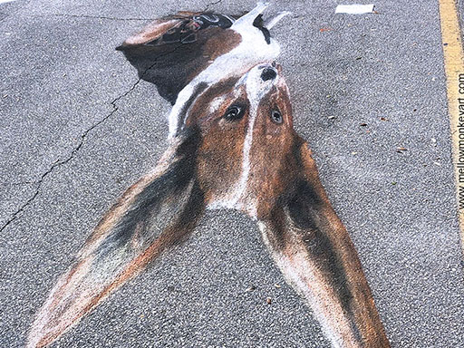 Showing top view skew of 3D dogs chalk art