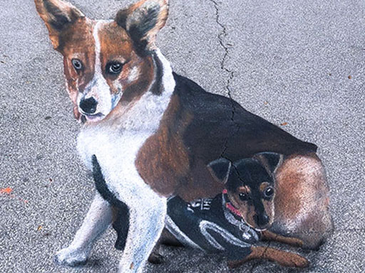 3D dogs chalk art