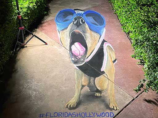 Yawning dog 3D chalk art