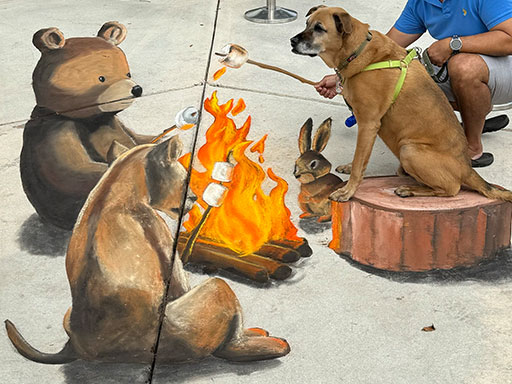 Dog posing with 3D chalk image of forest animals toasting marshmallows around a fire