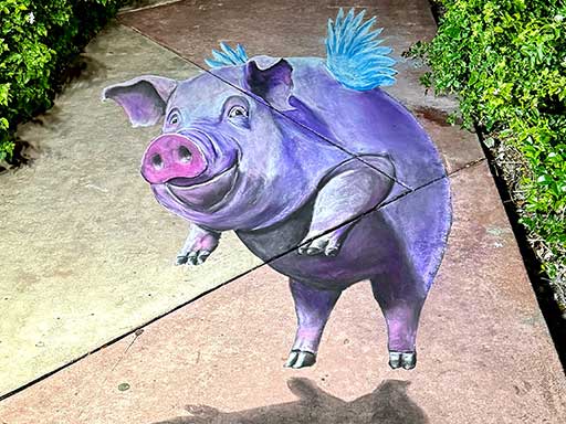 3D chalk art of a flying pig.