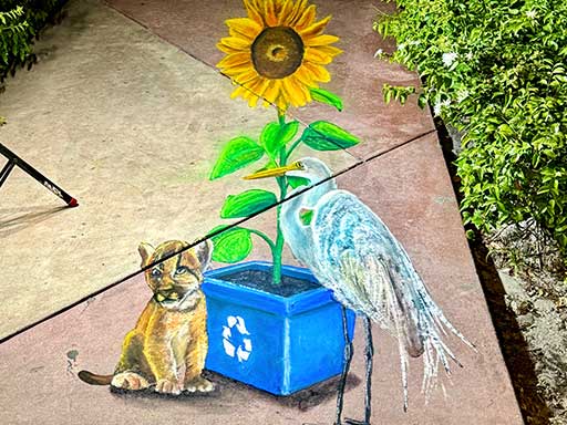 3D chalk art of a sunflower in a recycling bin, with a Florida panther and an egret, for Earth Day.